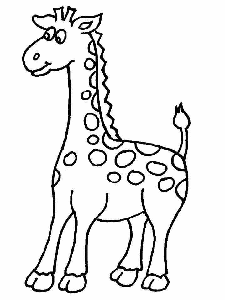 Kleurplaat Giraf Met Afbeeldingen Dieren Kleurplaten