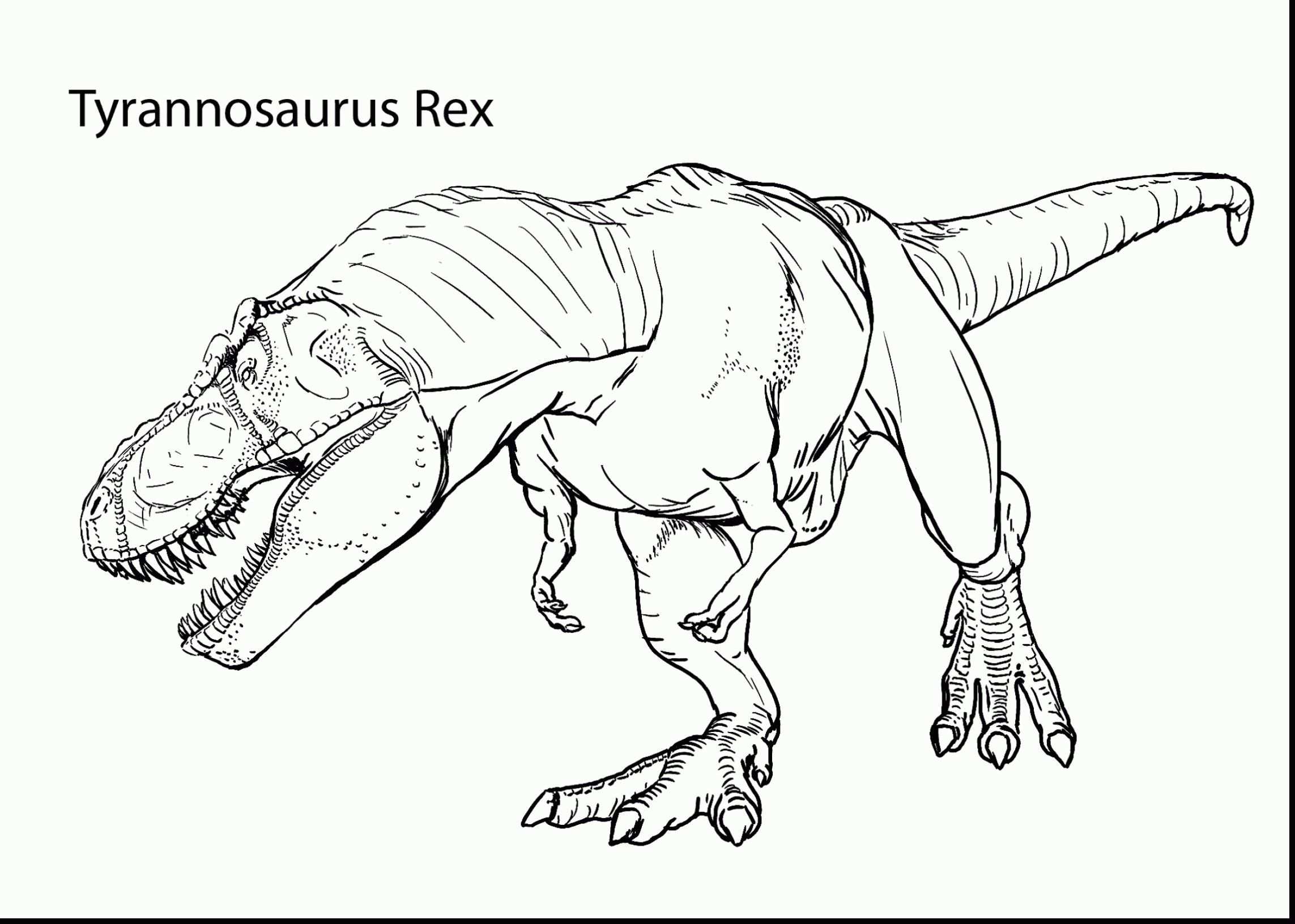 Trex Coloring Pages With Images Dinosaur Coloring Dinosaur