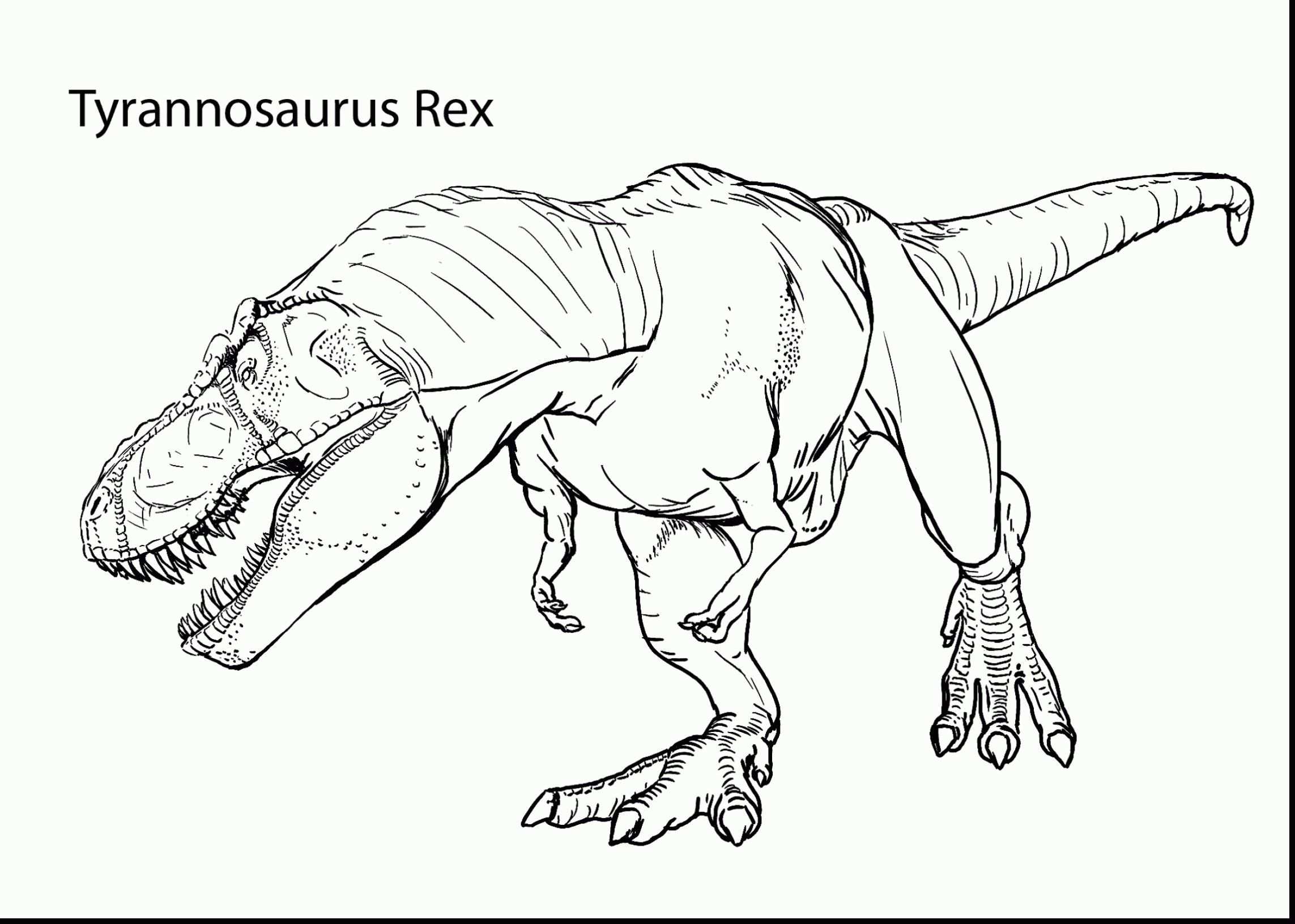 Tyrannosaurus Rex Kleurplaat Dinosaurus