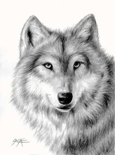 Print Cute Wolf Adult Mandala Grown Up Coloring Pages Met