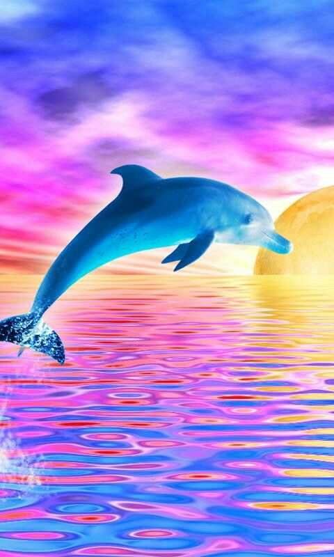 Pin Van Anamilena Vasquez Op Delfines Dolfijnen Zeedieren