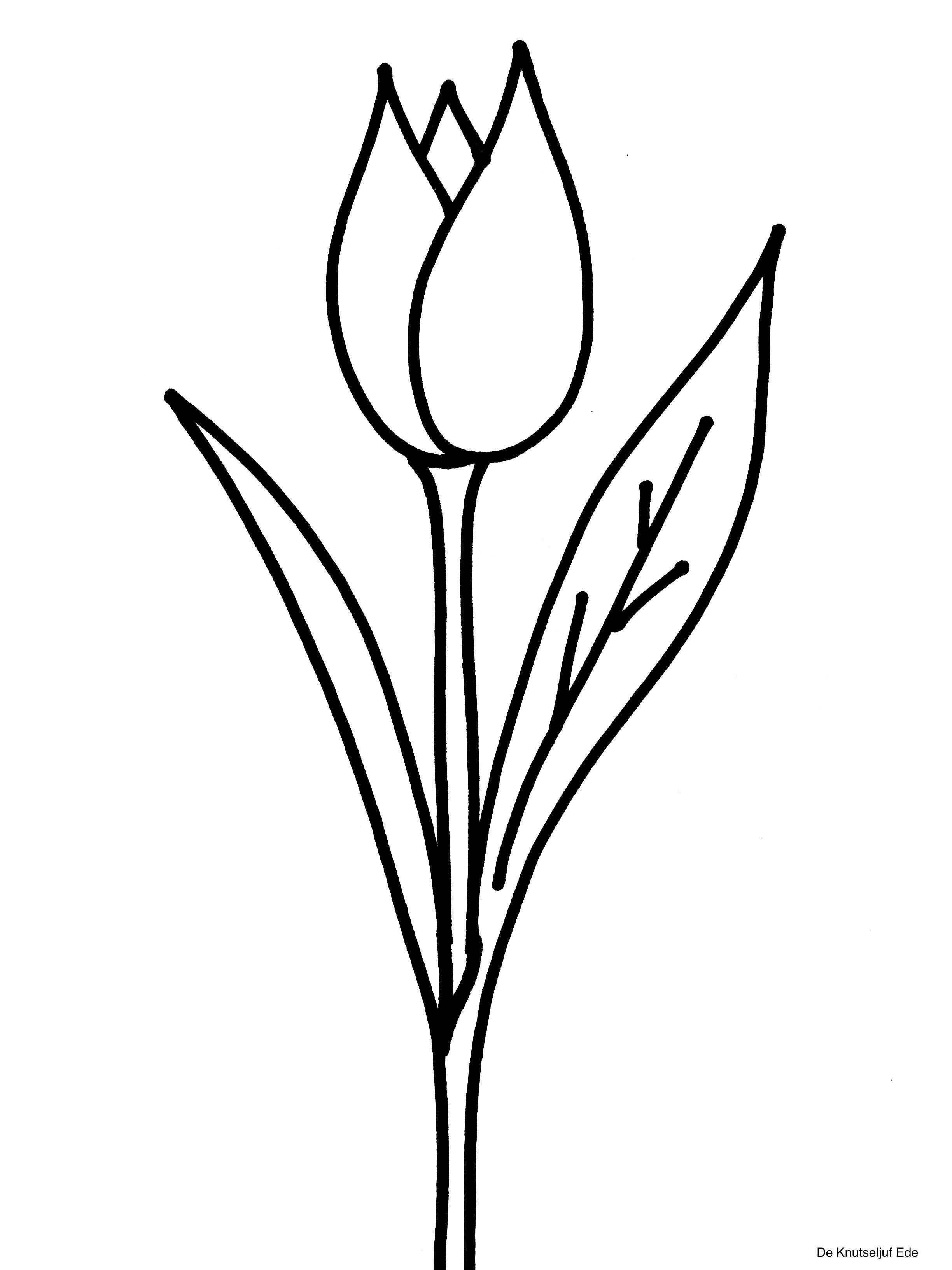 Kleurplaat Bloemen Kind