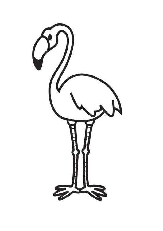 Kleurplaat Flamingo Moeilijk
