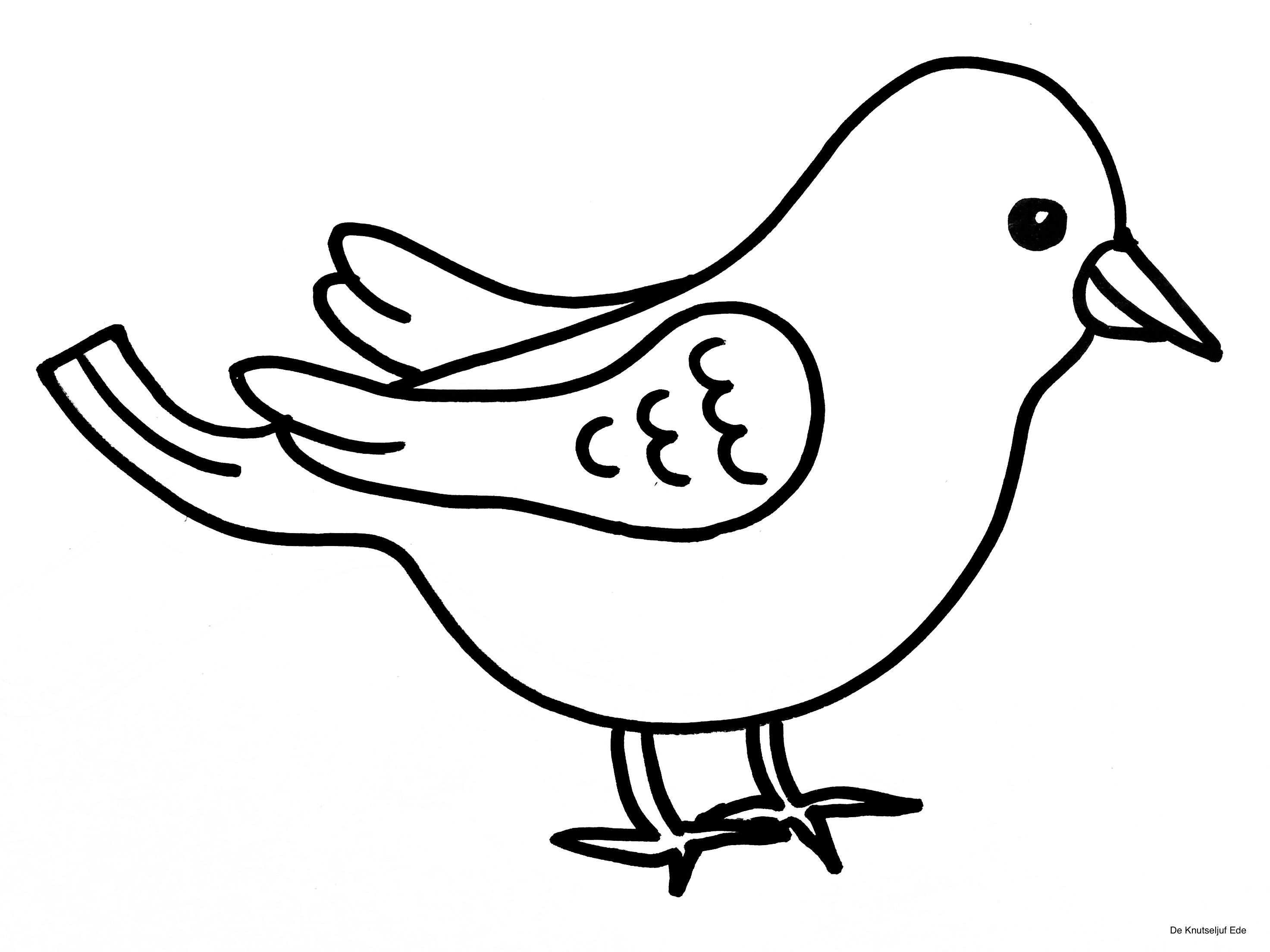 Kleurplaat Vogel