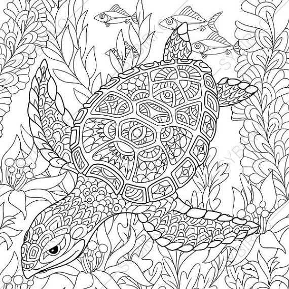 Kleurplaat Voor Volwassenen Schildpad