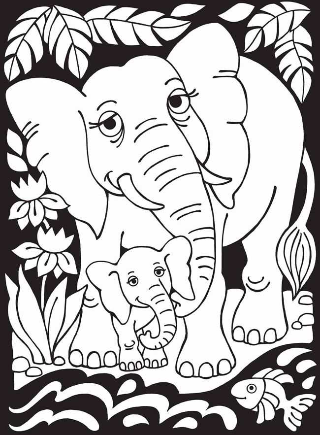 Tekening Kleurplaat Dierentuin